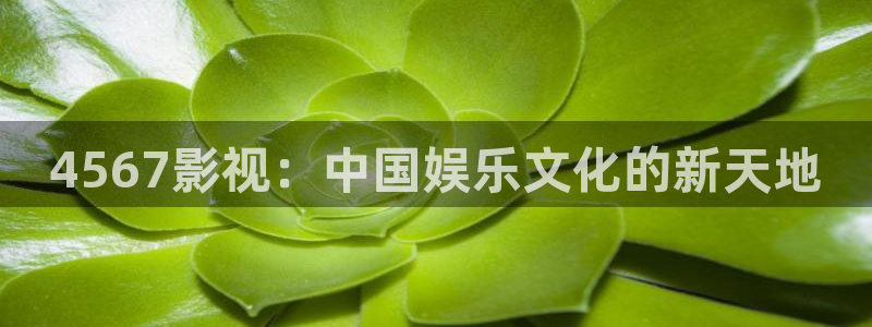 第七电影影院：4567影视：中国娱乐文化的新天地