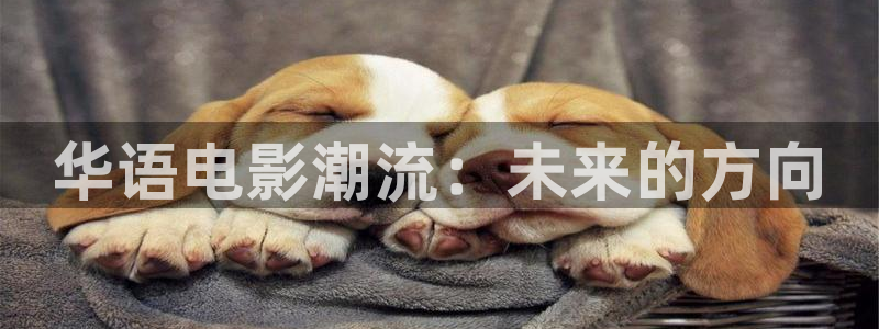 神马第七影院：华语电影潮流：未来的方向