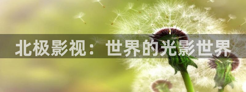 中餐厅第七季星辰影院：北极影视：世界的光影世界