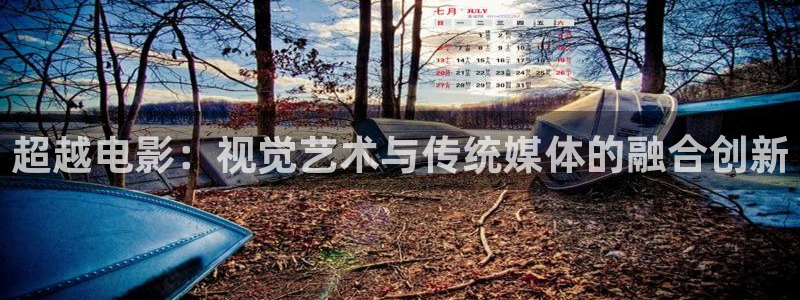 第七影院神马电影网：超越电影：视觉艺术与传统媒体的融合创新