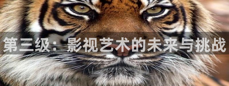 花花影院第七电影：第三级：影视艺术的未来与挑战