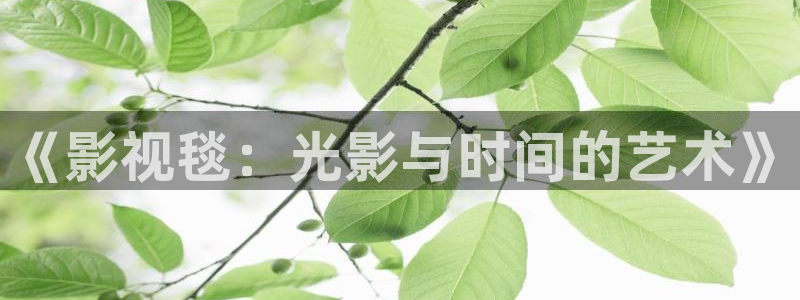 花花影院第七电影：《影视毯：光影与时间的艺术》