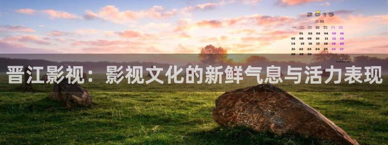 第七影院16：晋江影视：影视文化的新鲜气息与活力表现