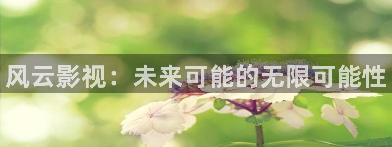 神马影院第七：风云影视：未来可能的无限可能性