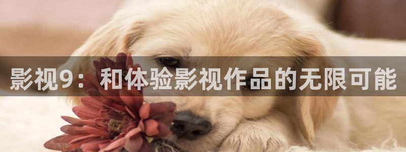 第七影院免费播放电视剧大全：影视9：和体验影视作品的无限可能