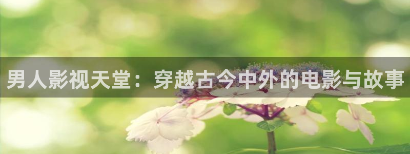 第七影院影院：男人影视天堂：穿越古今中外的电影与故事