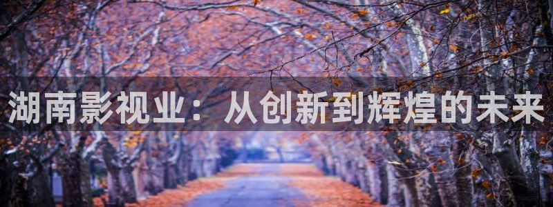 第七影院网：湖南影视业：从创新到辉煌的未来