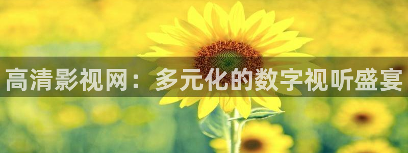 神马影院第七神院：高清影视网：多元化的数字视听盛宴